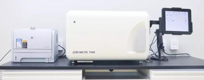 全自动化学免疫分析仪进口昭通黄埔港通关攻略