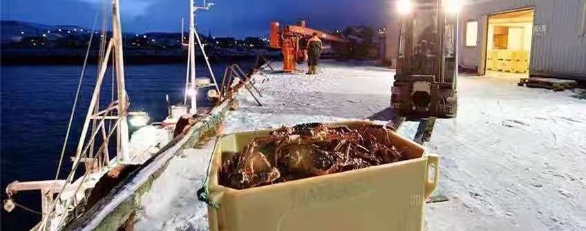 国表活海鲜进口昭通能够清关吗？