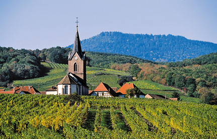 葡萄酒进口报关：法国红酒进口报关身分有哪些？