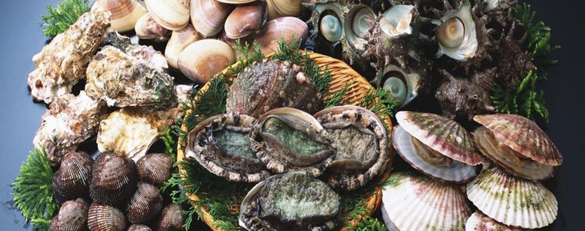 海鲜怎么进口报关？有哪些当苦衷项？